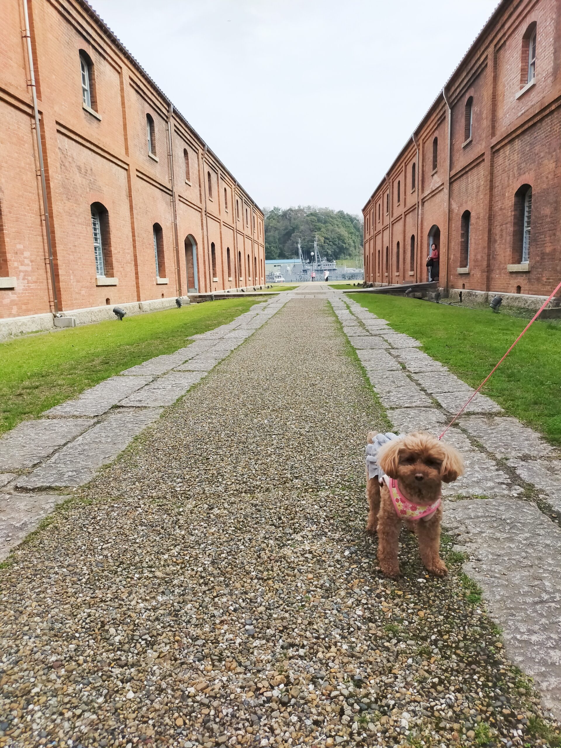 一緒におでかけ